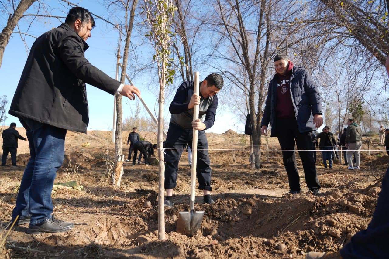 Raqamli texnologiyalar vazirligi jamoasi Ohangaronda ko‘chat ekish aksiyasini o‘tkazdi