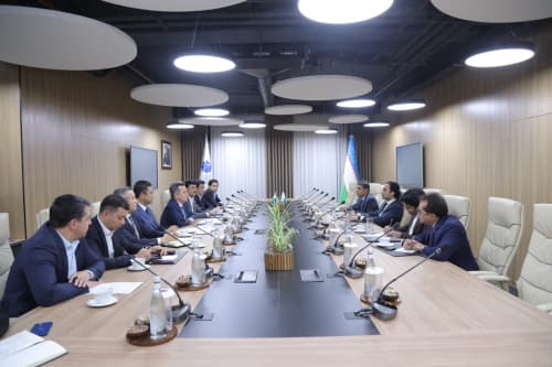 Discussions Held on Advancing Digital Technology Cooperation with Pakistan to a New Level